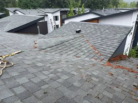 Shingle roof with debris and exposed repair lines before service