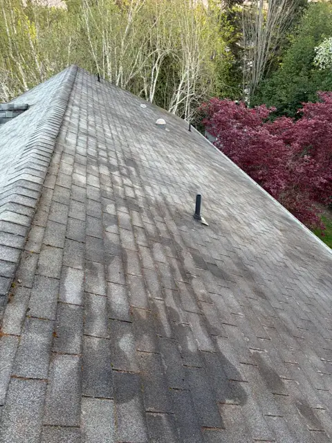 Clean shingle roof surface after roofing service