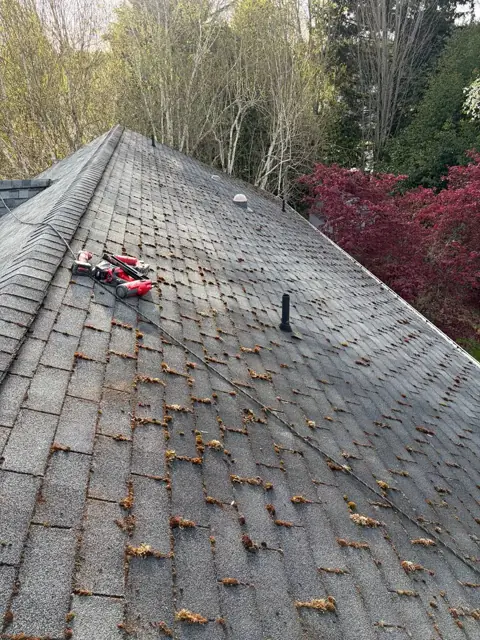 Weathered shingle roof with leaves and debris before service